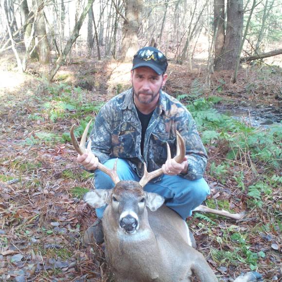 Meet your Posher, Wesley - Picture 1 of 1